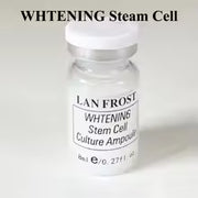 BB Glow Original Stayve