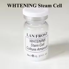 BB Glow Original Stayve