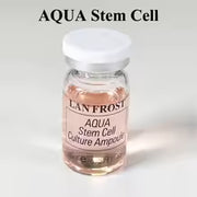 BB Glow Stayve Booster