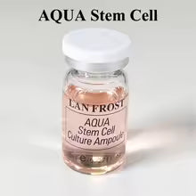 BB Glow Stayve Booster